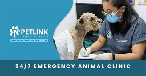 Pet Link Wellness Center and Veterinary Clinic.